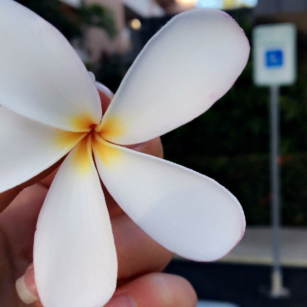 Meet your Posher, Alex